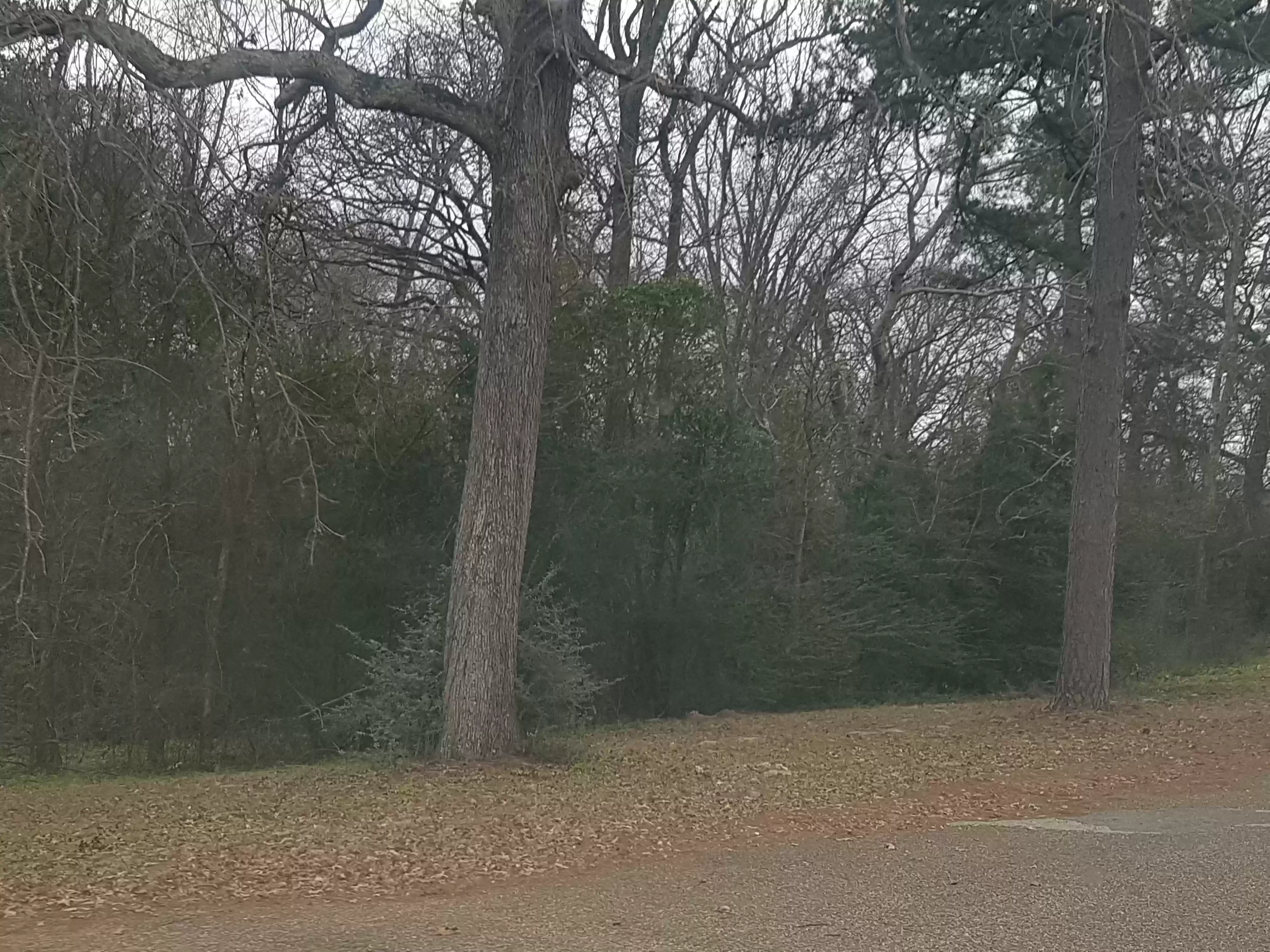 20180107_143155
